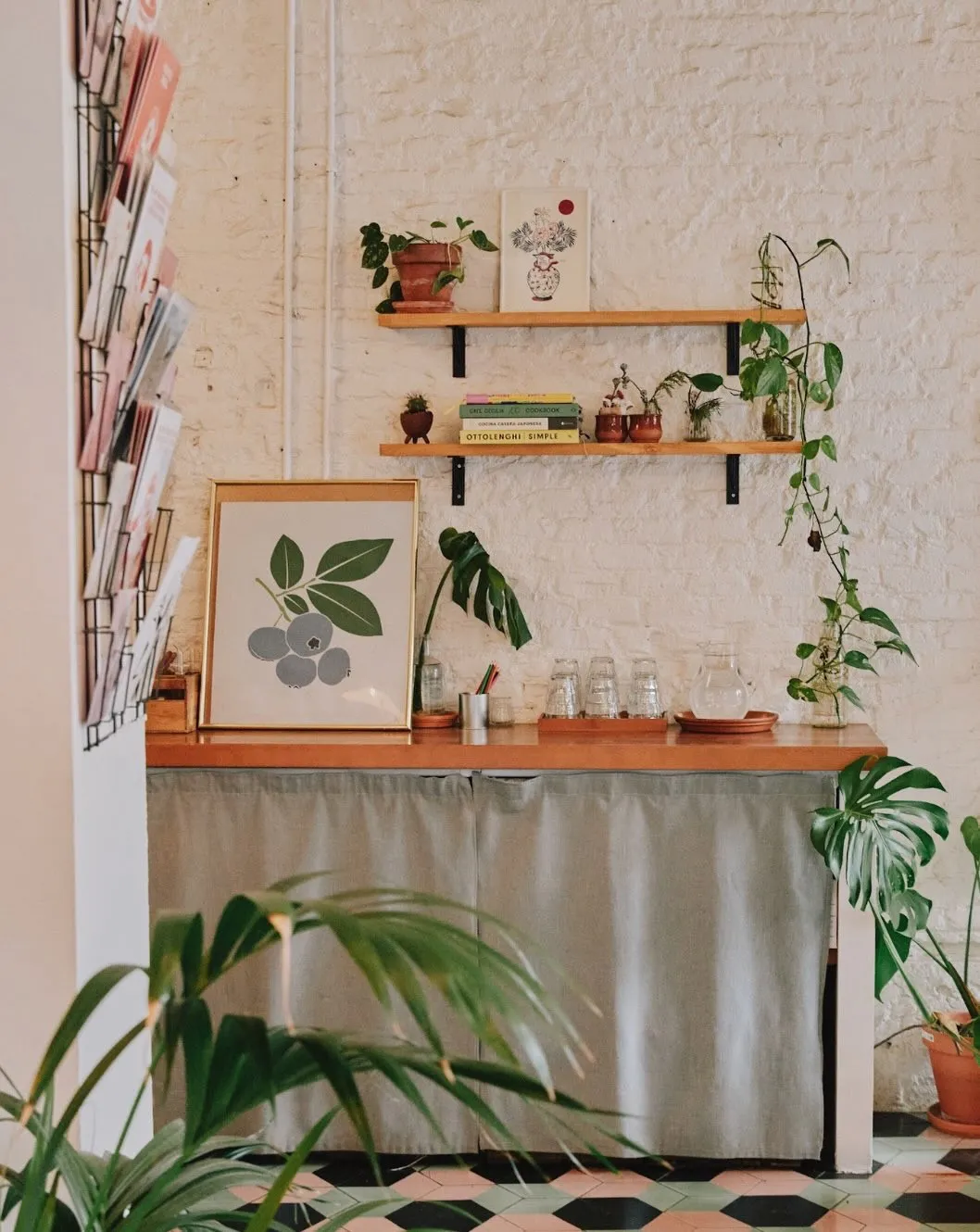 Un racó del local amb plantes i prestatges